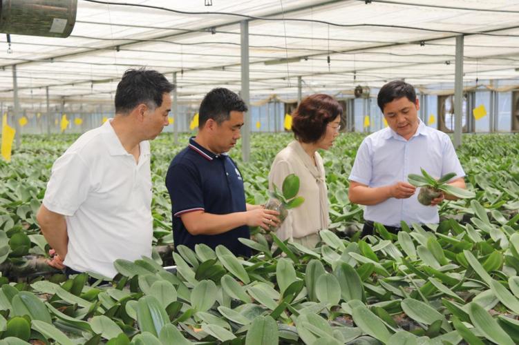 培育陕花地域品牌陕西省花卉产业创新发展论坛在西安举行